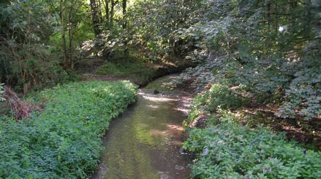 Meanwood Beck - Meanwood Road