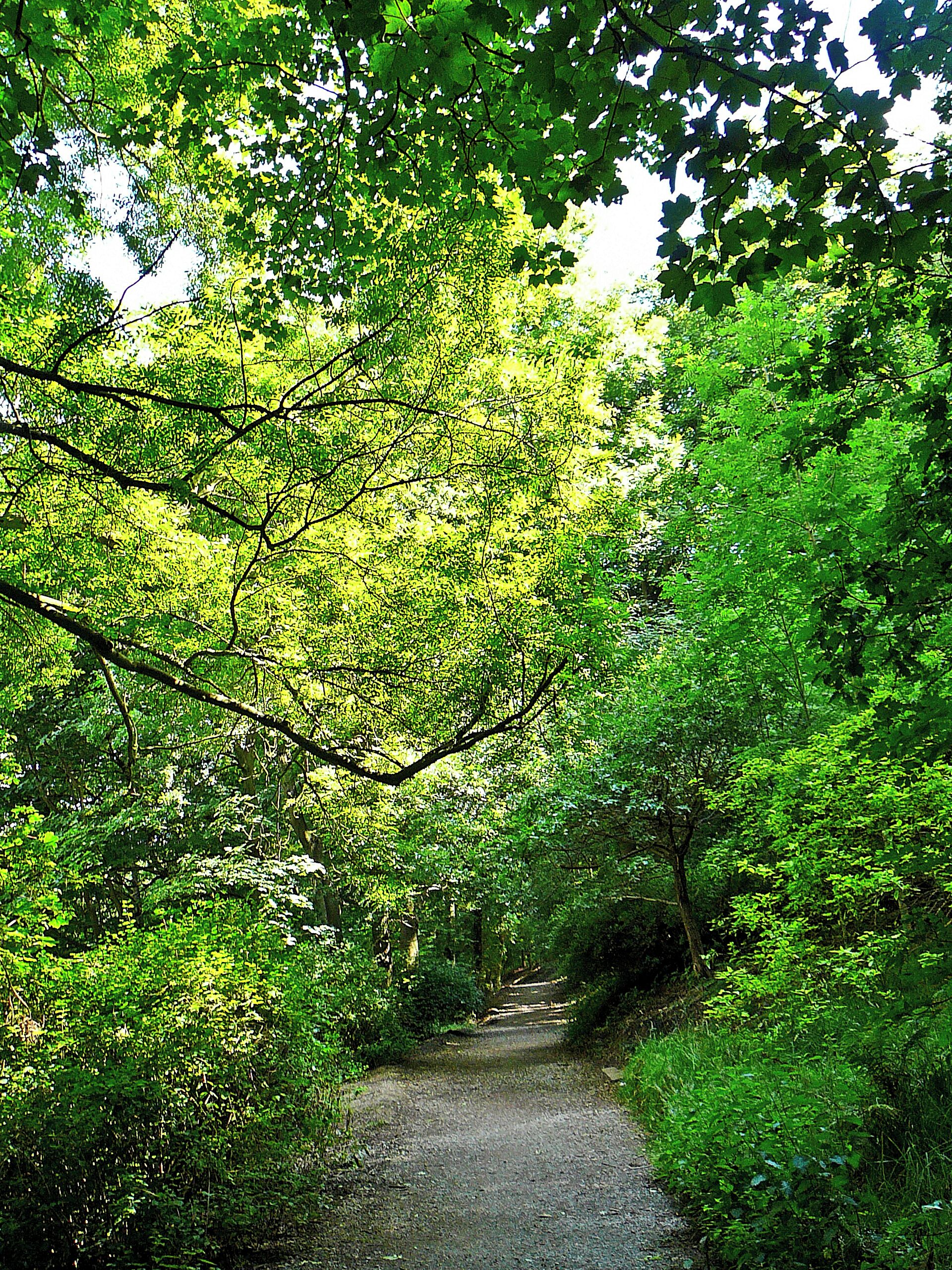 Woodhouse Ridge, Leeds