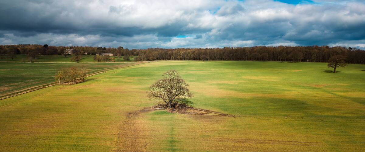 Aerial view of tree and farmland in Farnley Hall Estate, Otley, West Yorkshire