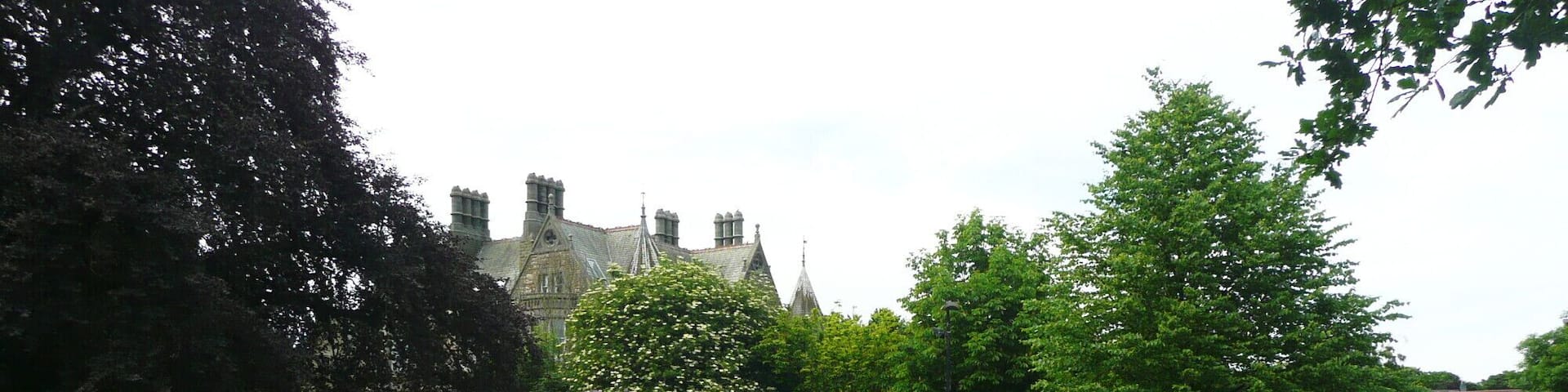 A pathway leading to a historic building with multiple towers.