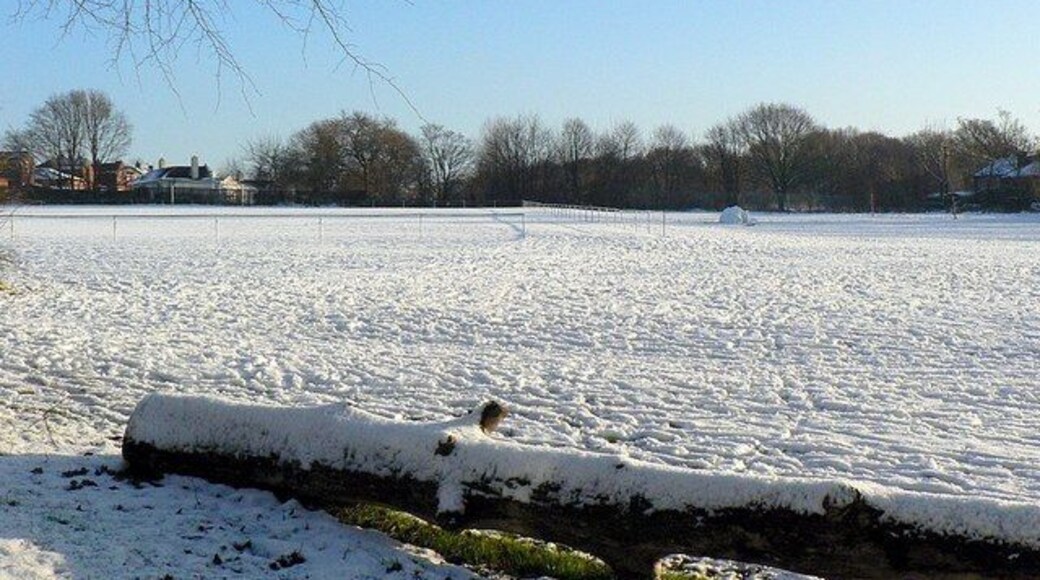 The Rec, Cragg Hill, Christmas Day