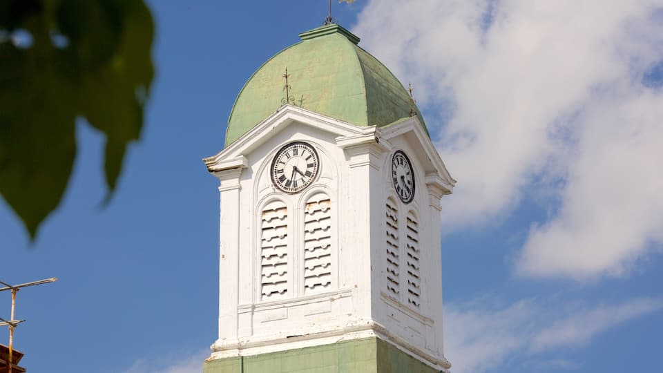 A clock tower with a green dome and white walls.