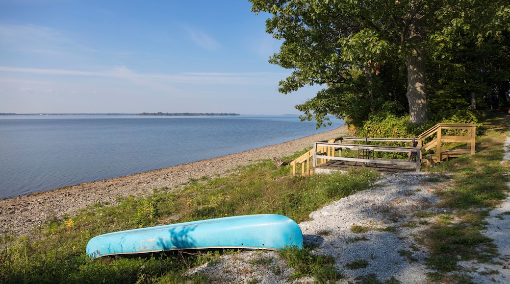 Rocky Lakeside Shore on a Calm Summer Day
