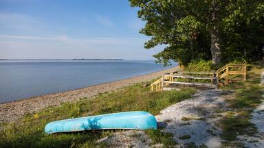 Rocky Lakeside Shore on a Calm Summer Day
