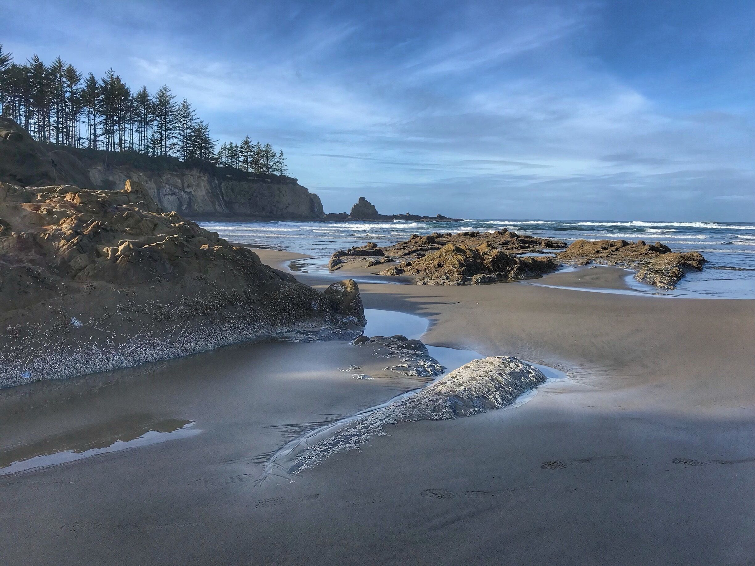 A rocky beach with waves, a cliff with trees, and a distant rocky outcrop.