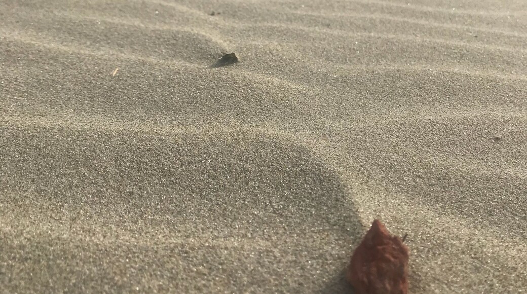 Amazing beaches in the PNW 😍