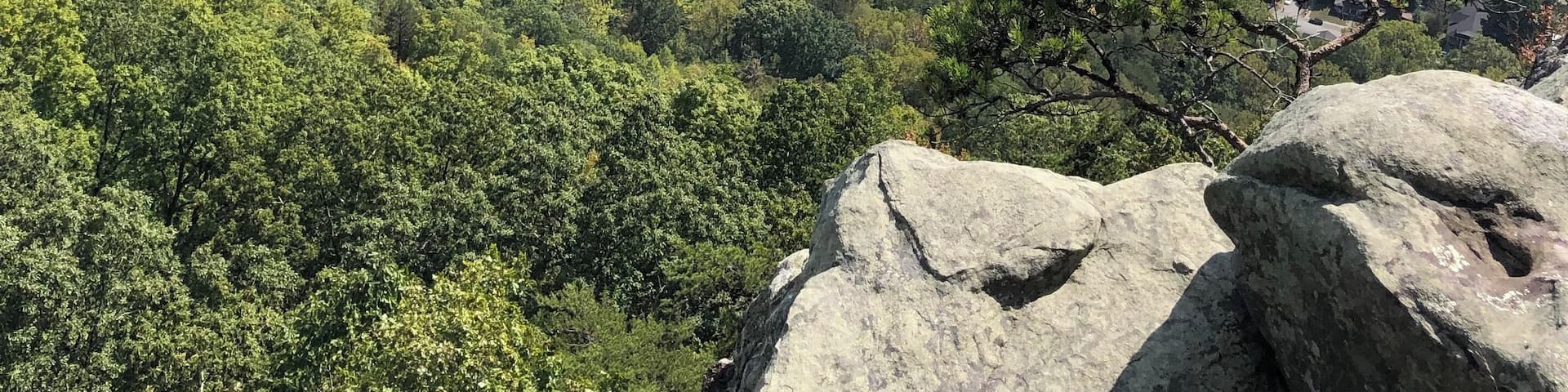 #Adventure #CumberlandGap #High #Trees #Highway