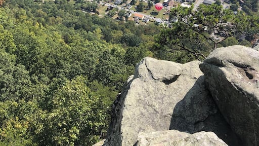 #Adventure #CumberlandGap #High #Trees #Highway