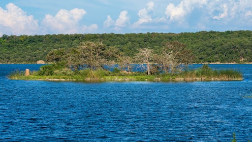 มีเนรัลเวลลส์