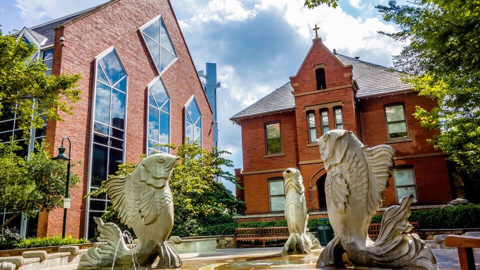 charlotte nc skyline and street scenes during day time