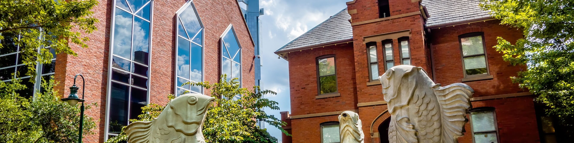 charlotte nc skyline and street scenes during day time