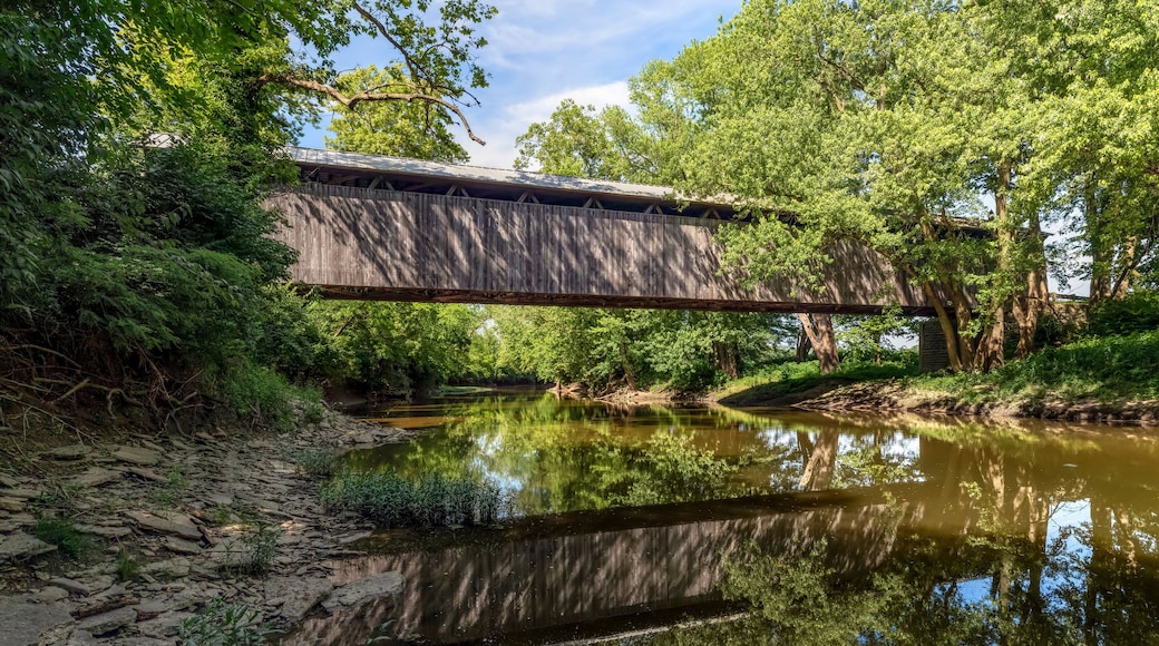 ๋ฏธ๋คํ์ด