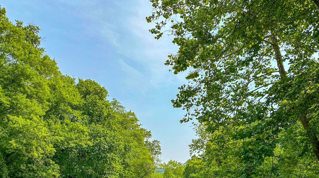 ๋ฏธ๋คํ์ด