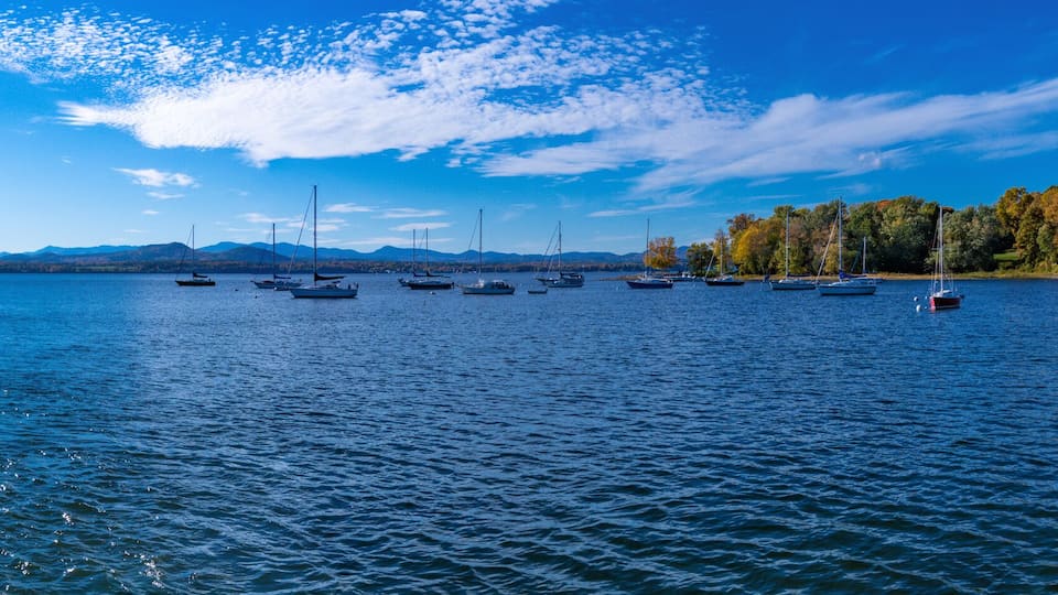 A calm lake with sailboats, a wooden dock, and a forested shoreline.