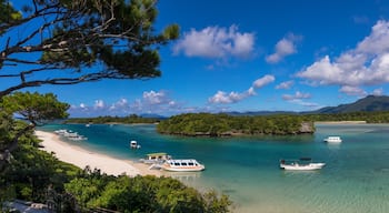 A coastal landscape with clear turquoise waters, boats, a sandy beach, and lush greenery.