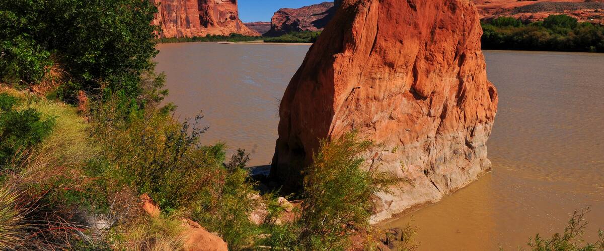 A large rock formation in a river surrounded by greenery.