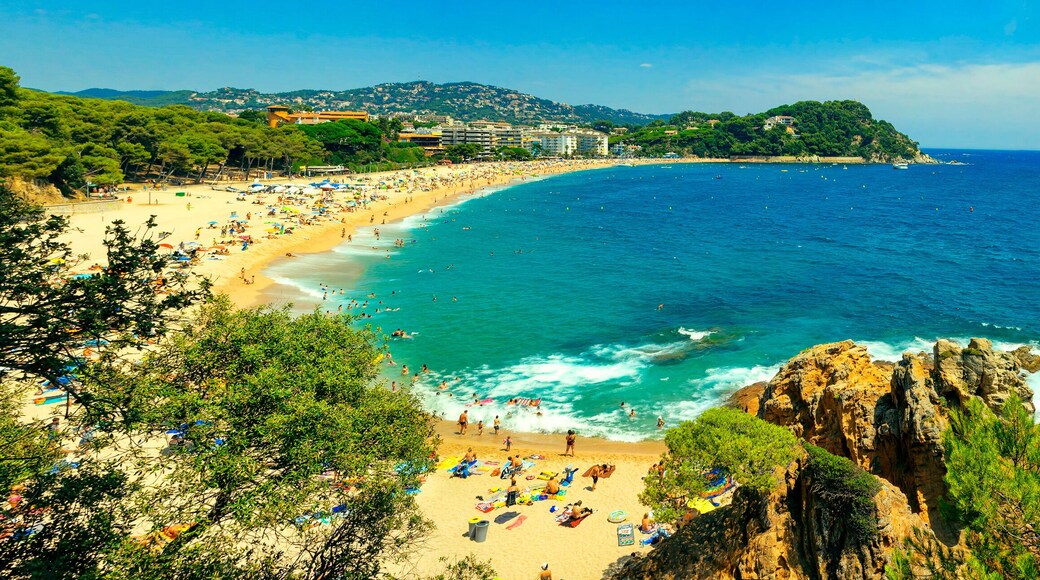 โรคาโกรซซา