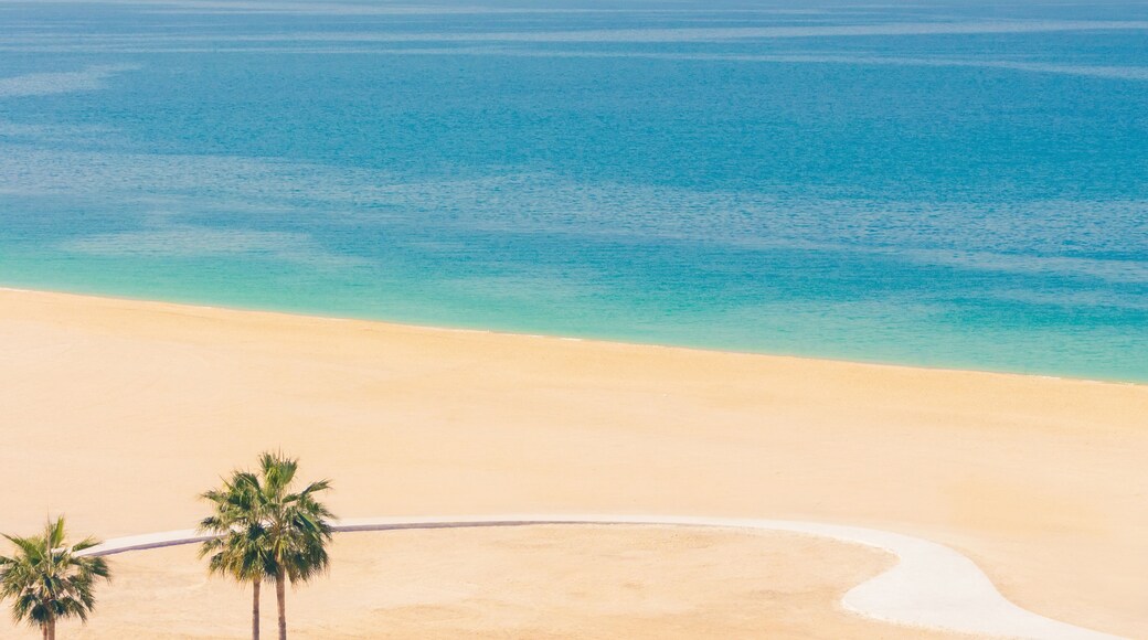 Wide 16:9 panoramic view of Ajman beach with turquoise sea, golden sand, UAE. Aerial resort coastline banner background, palm trees, copy space.