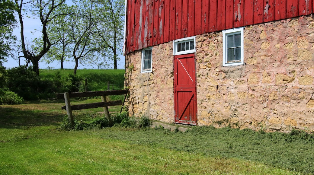 มิดเดิลตัน