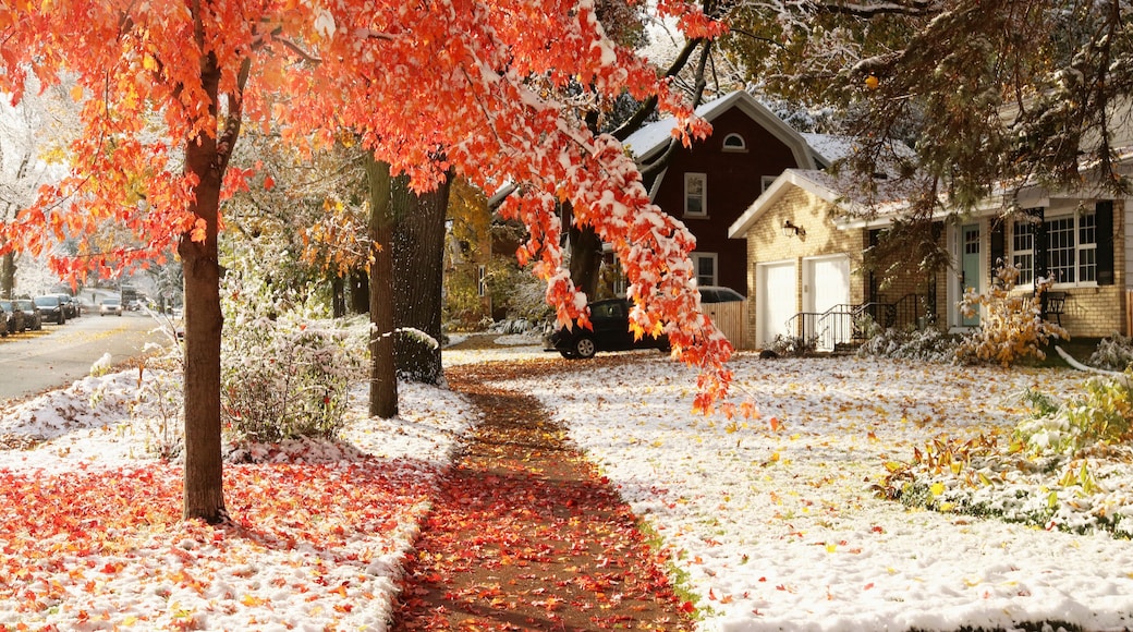 Early snow background, climate changing concept. Scenic morning landscape with autumn bright color trees and street covered by fresh first snow in the private houses residential neighborhood.