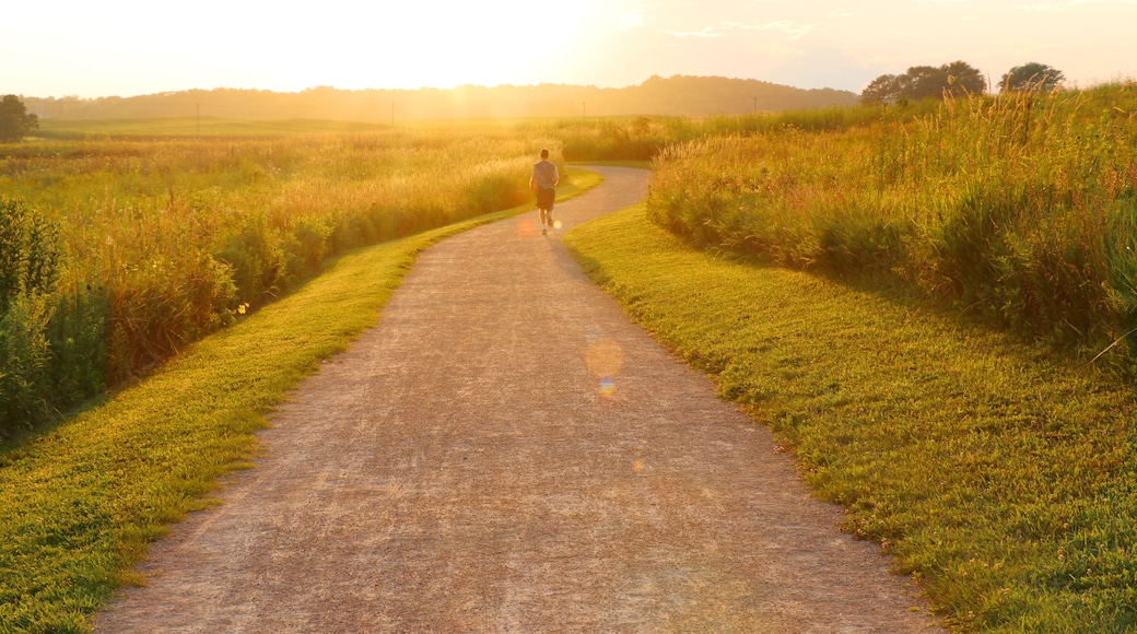 Countryside view with jogger on the road between grass fields. Rural summer evening landscape with runner man on the road in sunlight during sunset.Healthy lifestyle concept. Summer nature background.