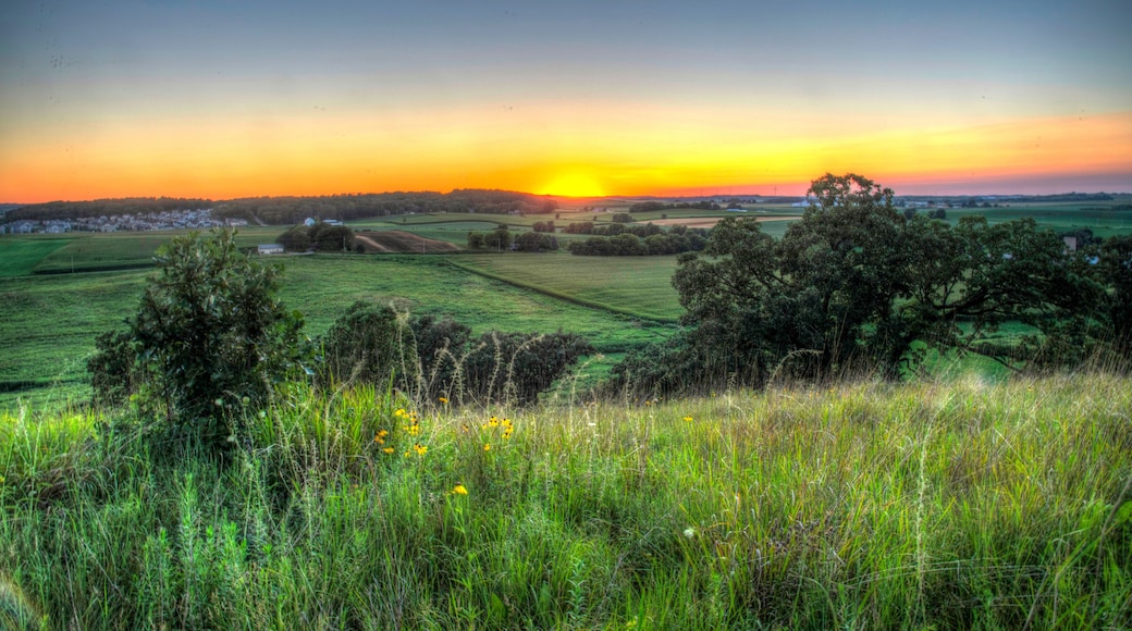 Beautilful Sunset over the Horizon, Pheasant Branch Conservatory