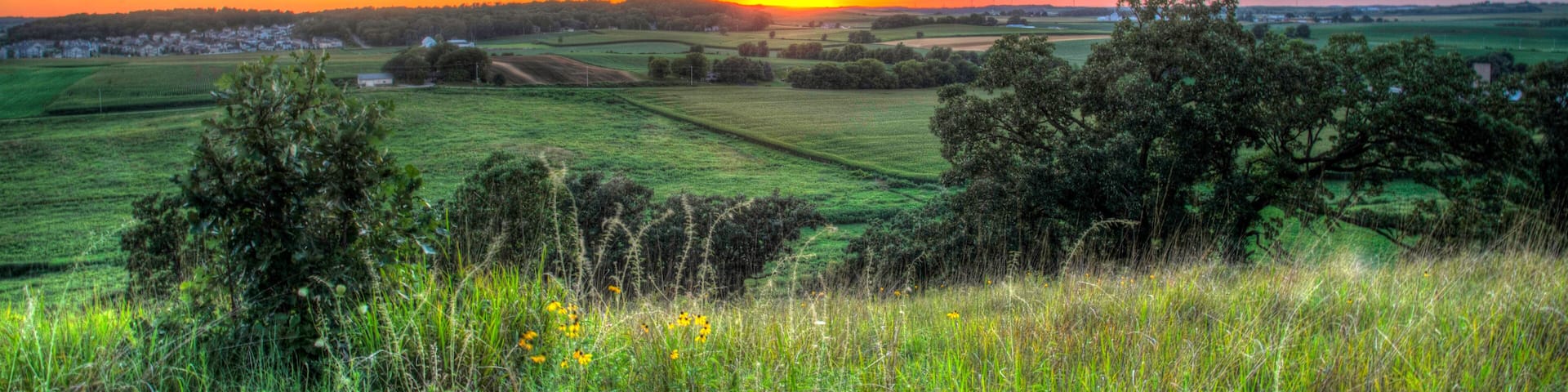 Beautilful Sunset over the Horizon, Pheasant Branch Conservatory