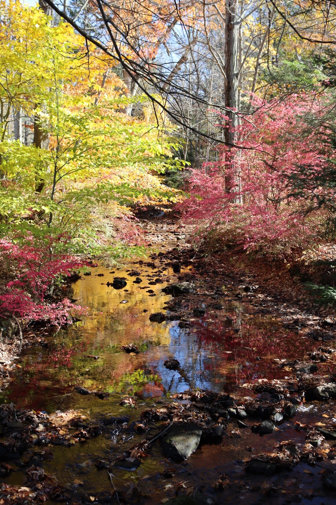 It's very cool for hicking!