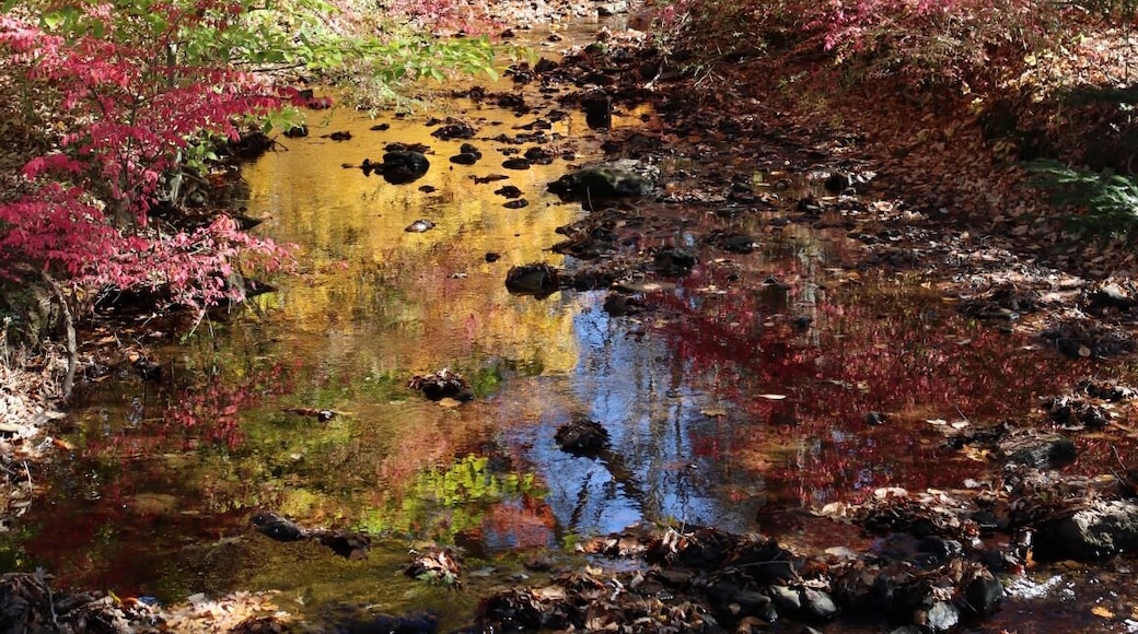 It's very cool for hicking!