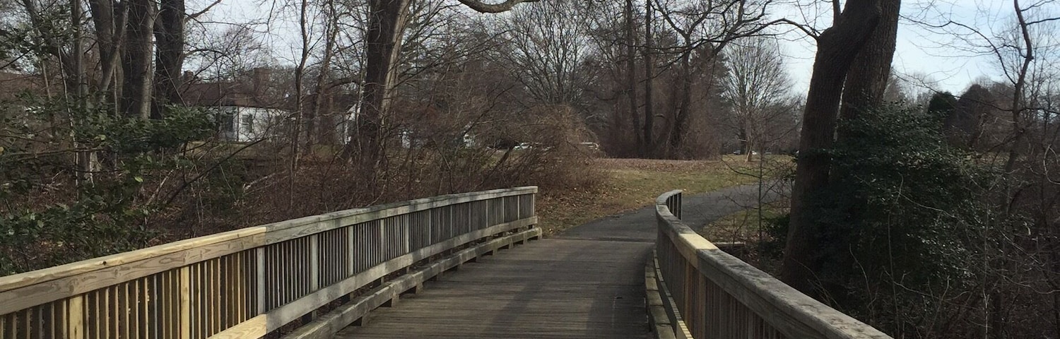 Patiently waiting for Springtime🌷!