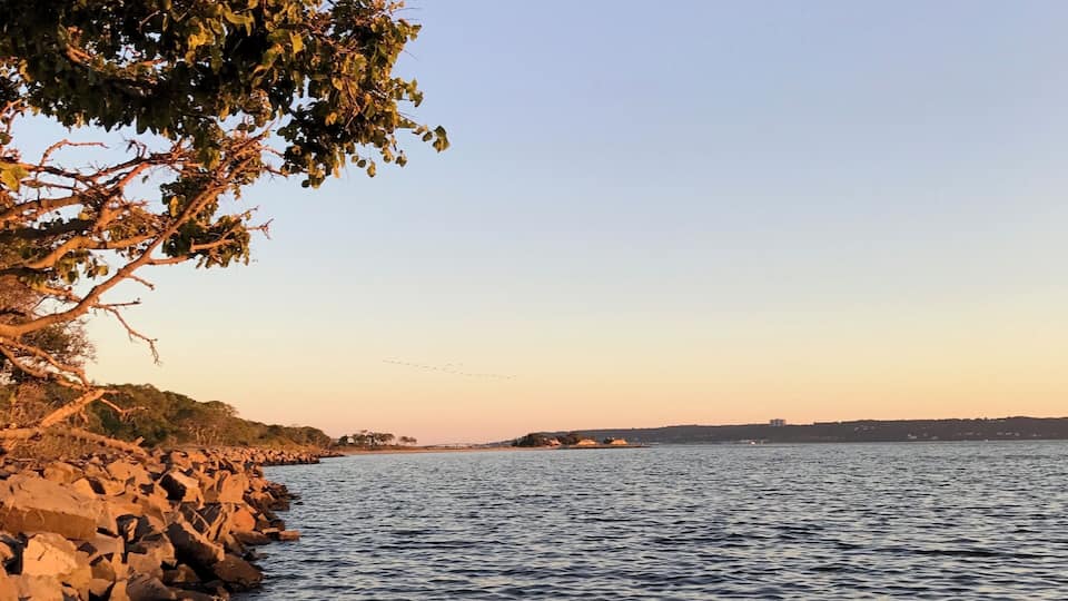 A beach with clear water, rocky shoreline, and trees.