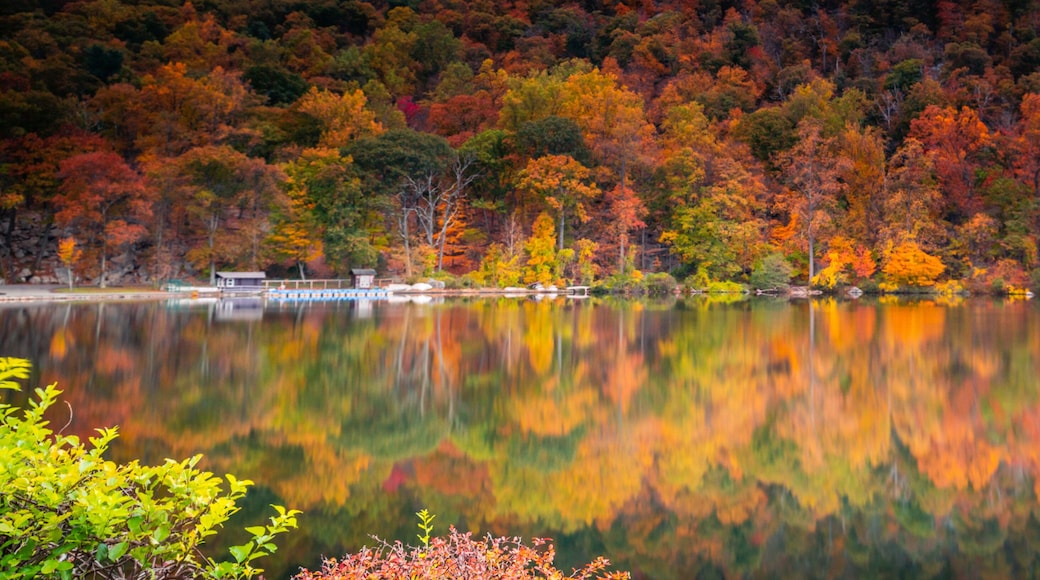 Fishkill