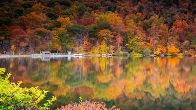 Beautiful Autumn View in Bear Mountain State Park