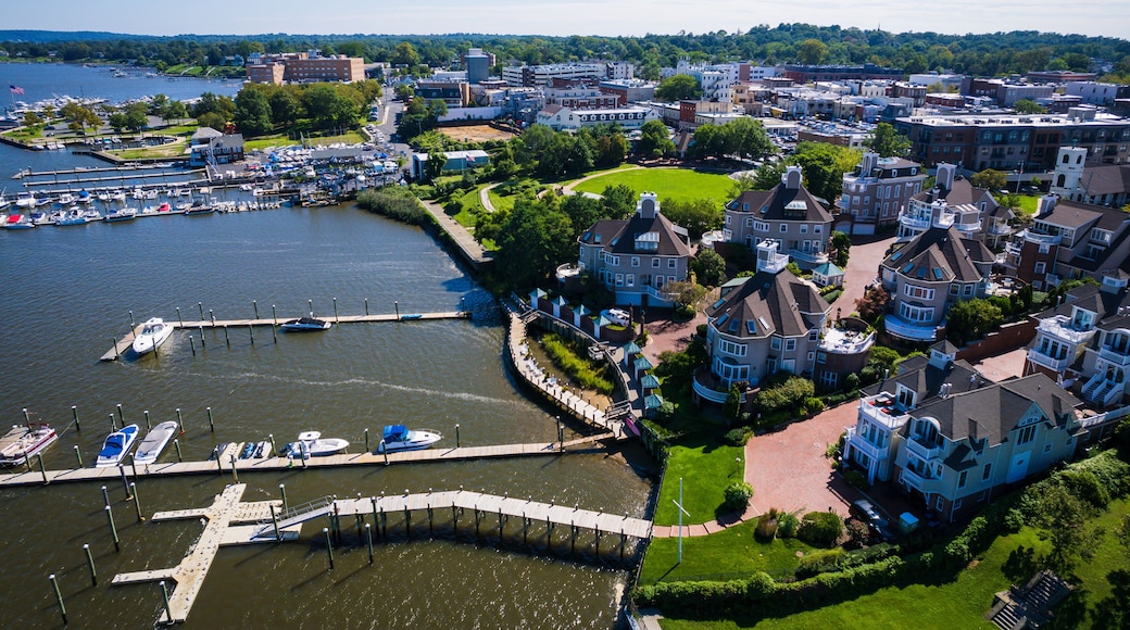 Aerial Drone of Red Bank New Jersey