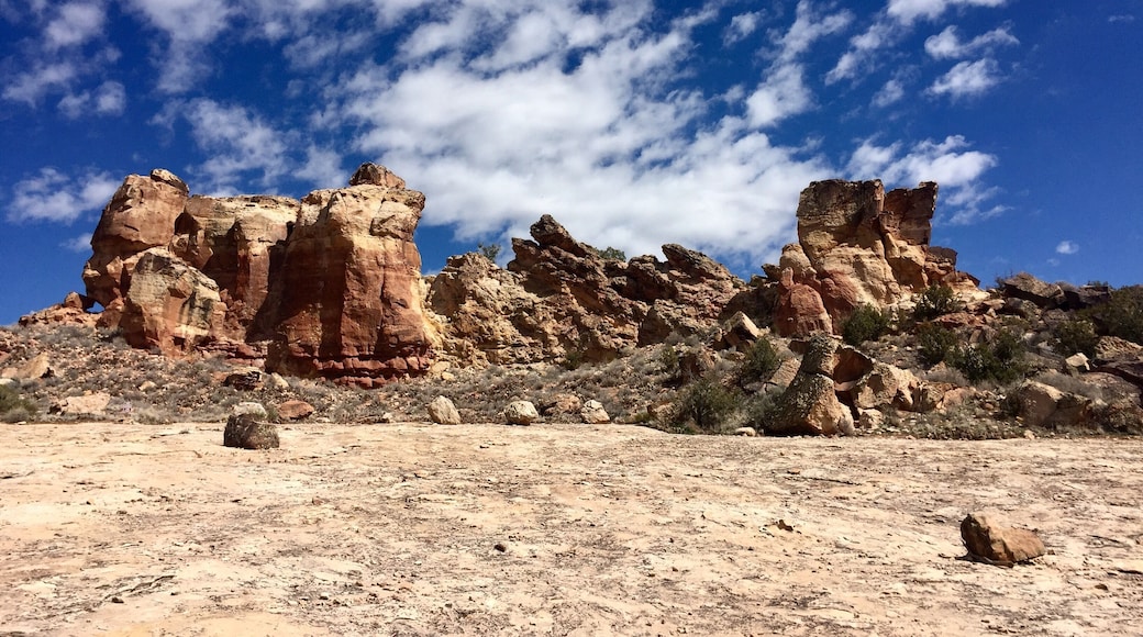 Sand Canyon/Canyon of the Ancients
