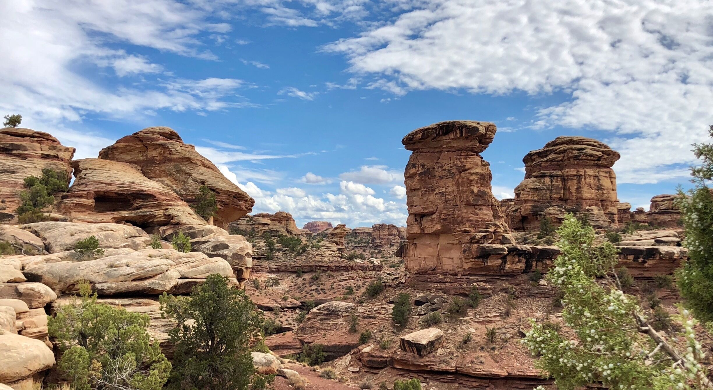 The Needles section of Canyonlands National Park. Located away from the Moab area this section of Canyonlands gets a fraction of the visitors that the Islands in the Sky Section gets making a visit here very special! 