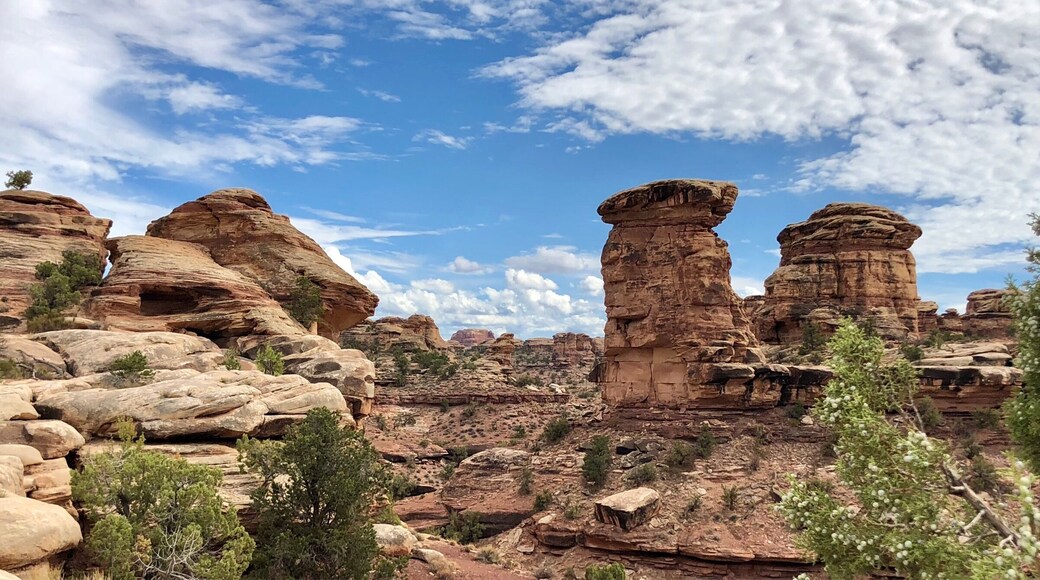 The Needles section of Canyonlands National Park. Located away from the Moab area this section of Canyonlands gets a fraction of the visitors that the Islands in the Sky Section gets making a visit here very special!