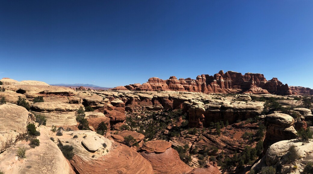 Such a cool trail with amazing views the whole time #localsecrets