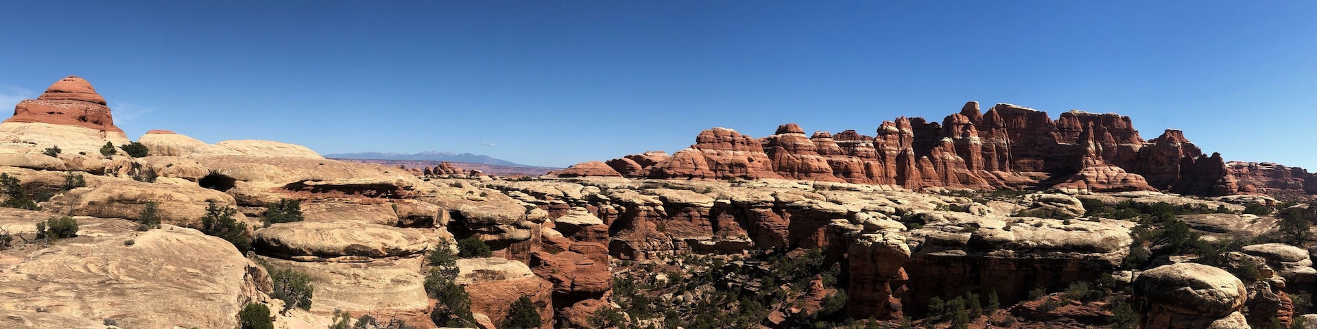 Such a cool trail with amazing views the whole time #localsecrets