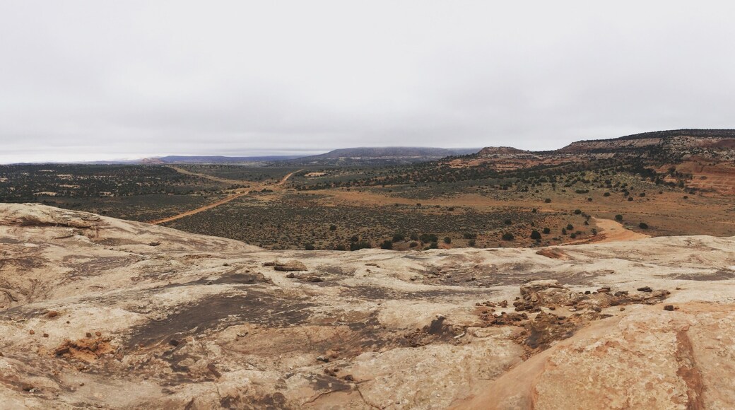 This is the view from the top of Looking Glass Rock. It's a great first multi-pitch climb for beginners or experts and you can set up an amazing rock swing too.