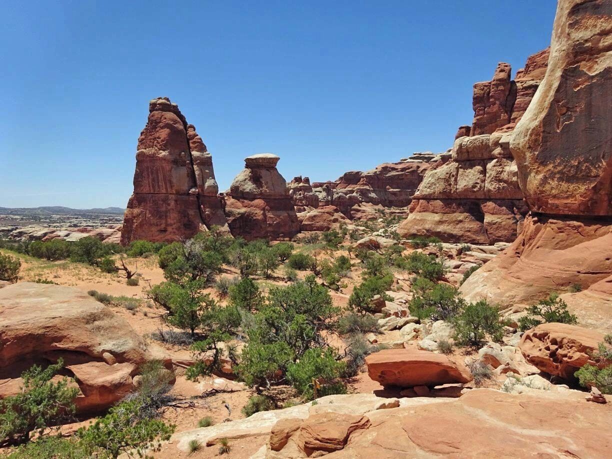 Paisaje desértico con formaciones rocosas rojas y vegetación verde escasa.