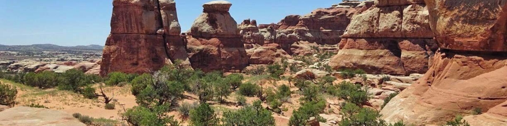 Paisaje desértico con formaciones rocosas rojas y vegetación verde escasa.