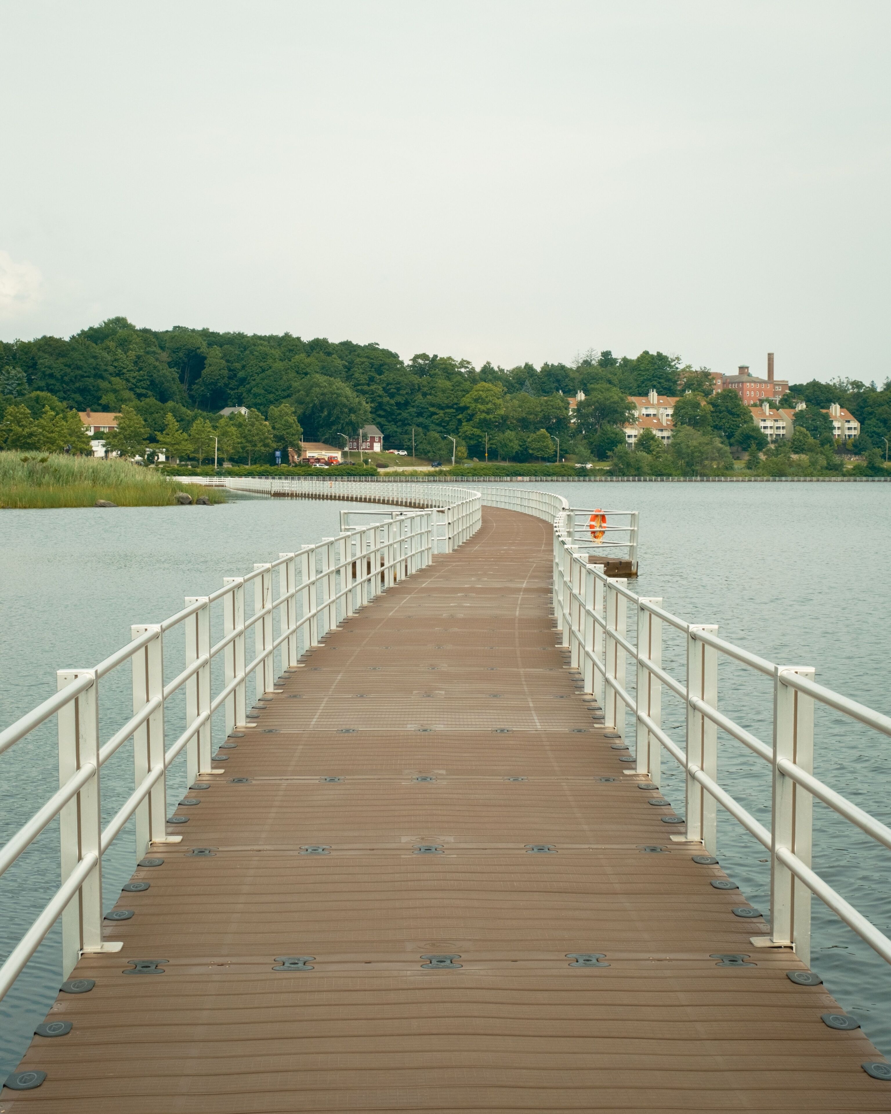 Williams Lake Boardwalk in Marlborough, Massachusetts