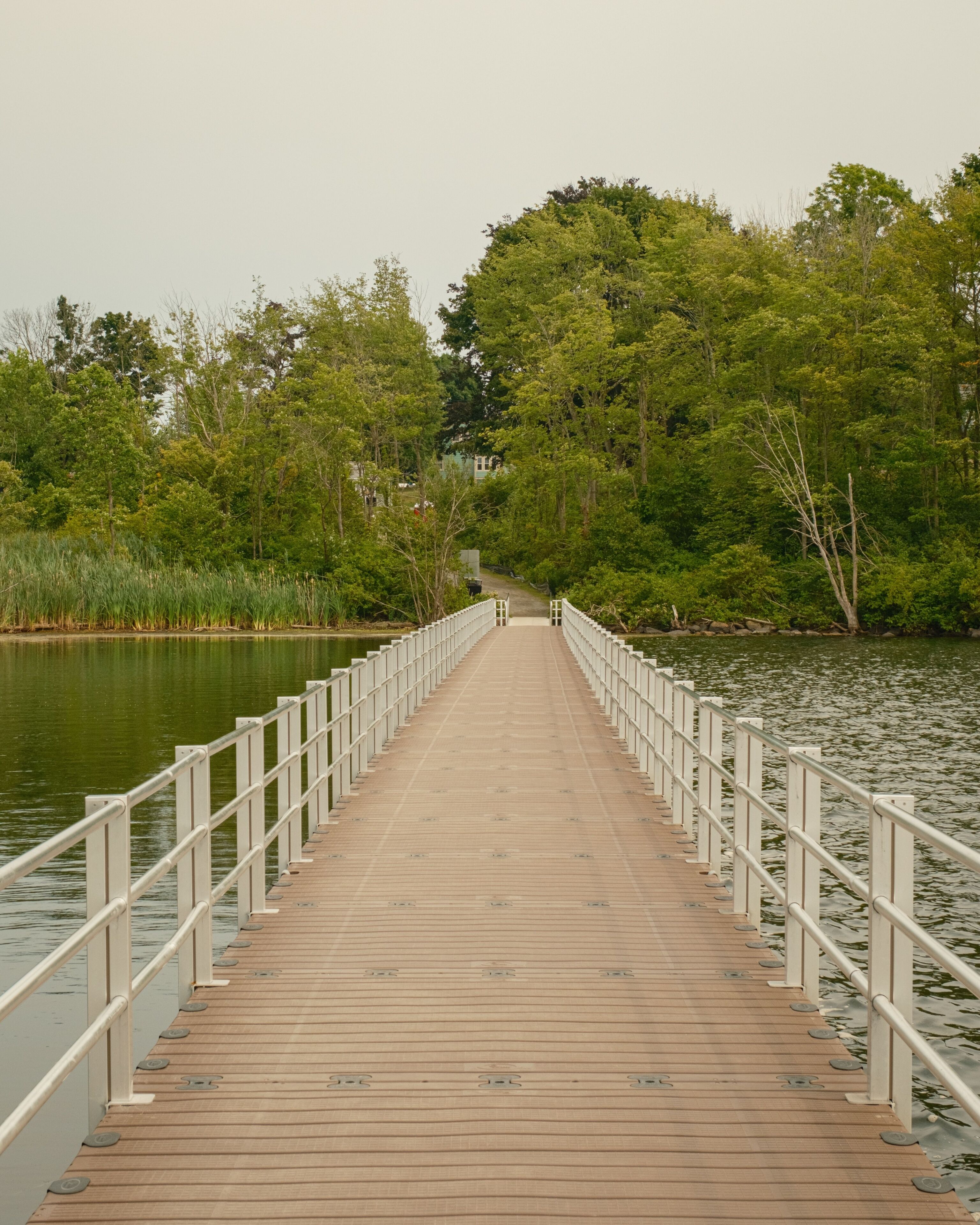 Lake Williams Trail boardwalk, Marlborough, Massachusetts