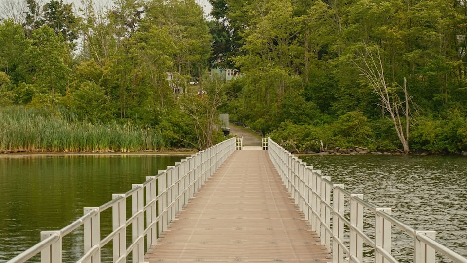Lake Williams Trail boardwalk, Marlborough, Massachusetts