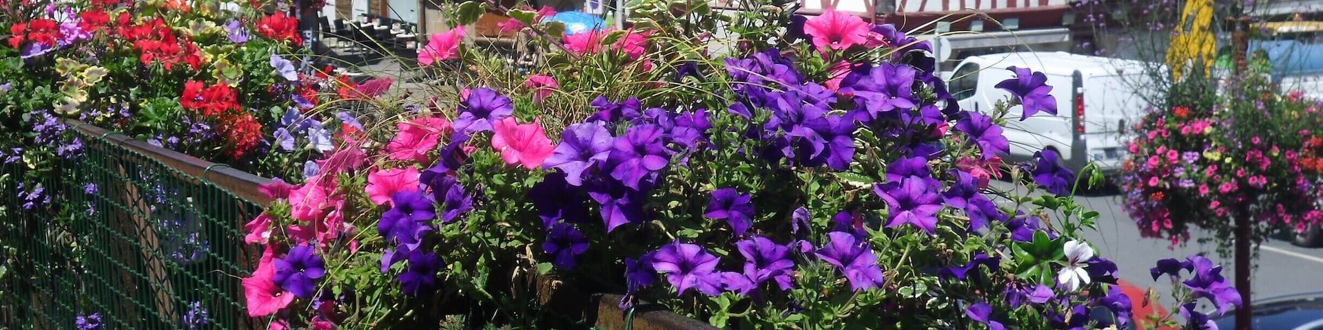 morlaix, Brittany in the summertime. Interesting, very histric with medieval buildings. There is an estuary with yachts and a magnificent viaduct which you can walk across to maximise views. Well worth the climb!