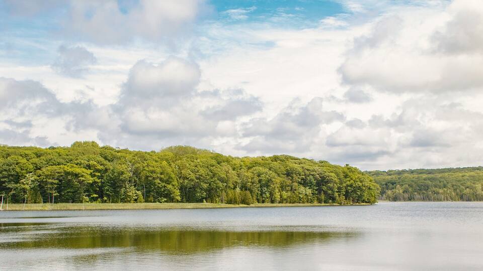 A calm lake surrounded by dense forest and a cloudy sky.
