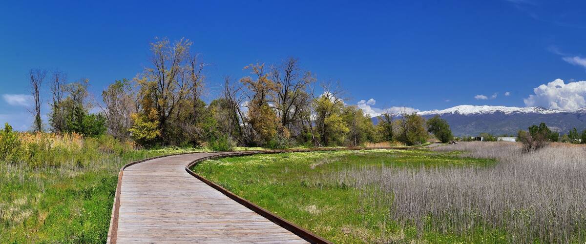 A wooden boardwalk curving through a grassy field with trees and a mountain range in the background.