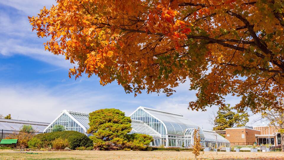 A greenhouse complex with glass structures, surrounded by autumn foliage and a grassy field.