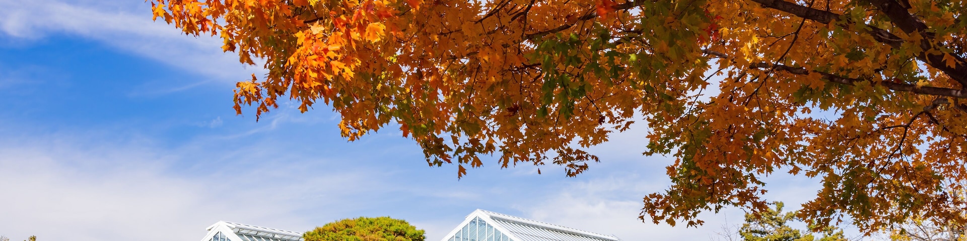 Beautiful fall color of the green house of Will Rogers Gardens